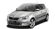 Коврики на Skoda Fabia 2 пок. (2006-2014) хетчбек/універсал