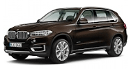 Коврики на BMW X5 [F15] (2012-2018)