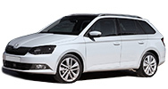 Коврики на Skoda Fabia 3 пок. (2014-) хетчбек/універсал